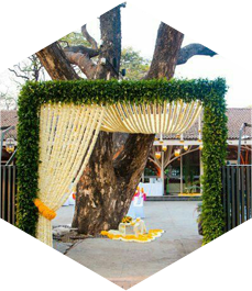  Bloom - Best Event Management in Mysuru