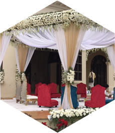 Bloom - Best Event Management in Mysuru 