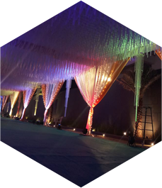 Bloom - Best Event Management in Mysuru 