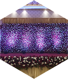 Bloom - Best Event Management in Mysuru 