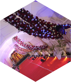 Bloom - Best Event Management in Mysuru 